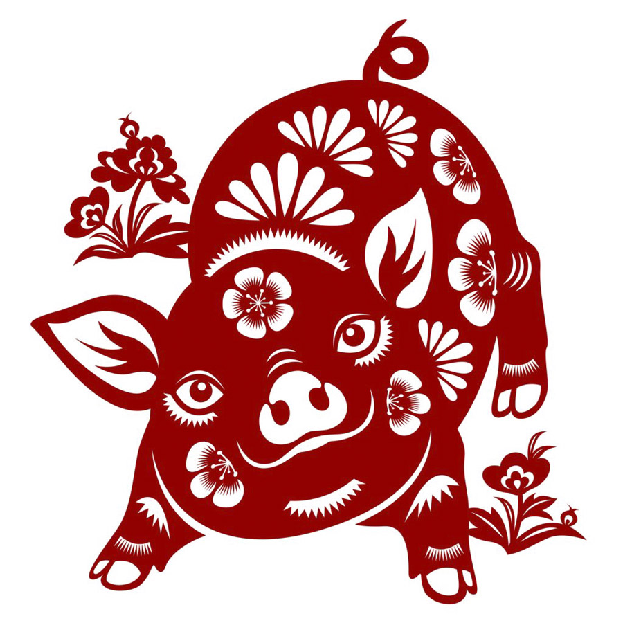 Ano do porco